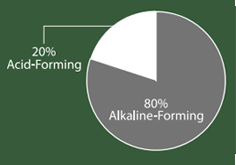 The AAA Diet (Acid Alkaline Association)